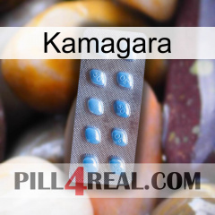 Kamagara viagra3